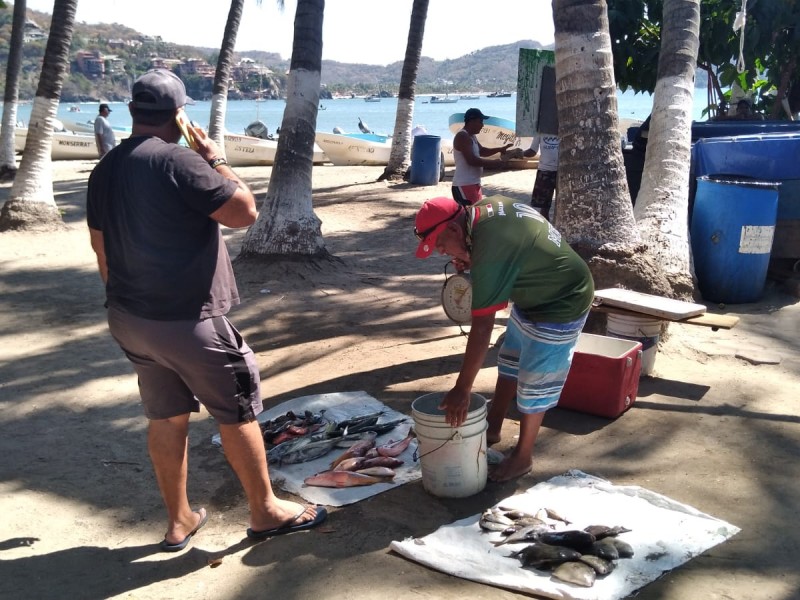 Pescadores de Zihuatanejo celebran su día trabajando