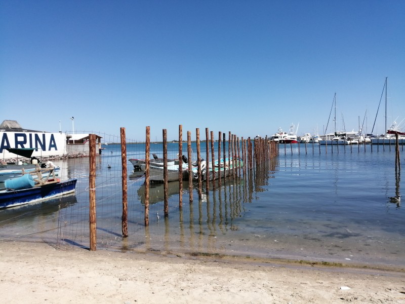 Pescadores del Manglito 