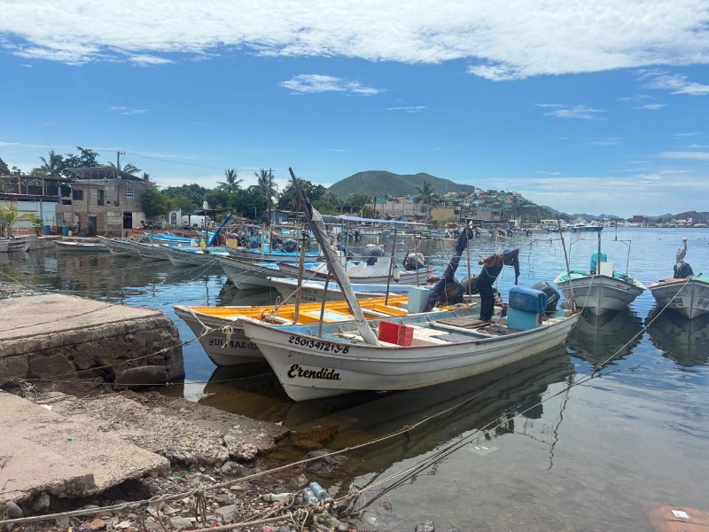 Pescadores esperan levantamiento de la veda de camarón en septiembre