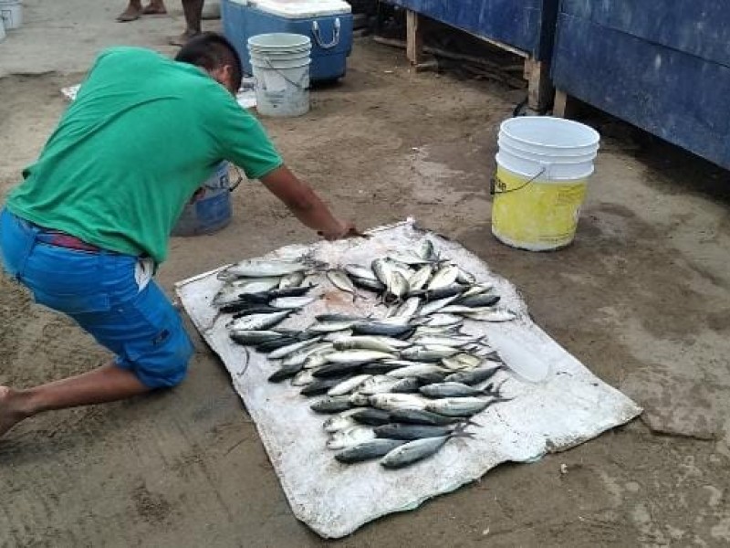 Pescadores esperan que, con temporada de lluvias, mejoren la captura