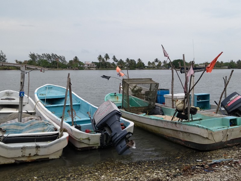 Pescadores inconformes con vedas de especies marinas