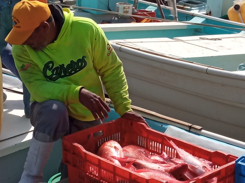 Pescadores luchan por mantenerse activos