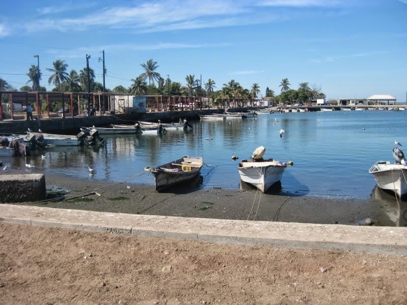 Pescadores piden apoyo a autoridades por adeudos a Agroson