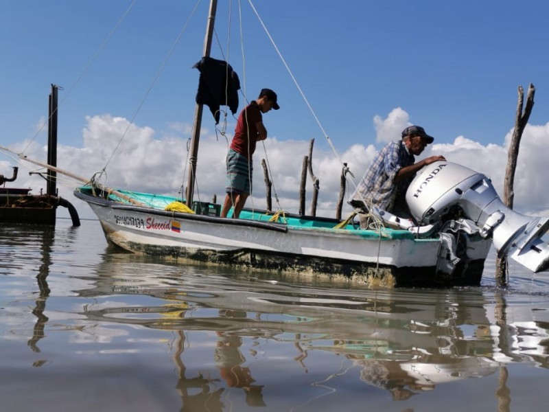 Pescadores piden frenar saqueo de jaiba