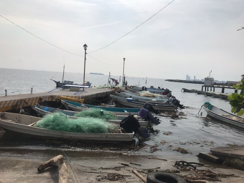 Pescadores presentan afectaciones por nortes y lluvias