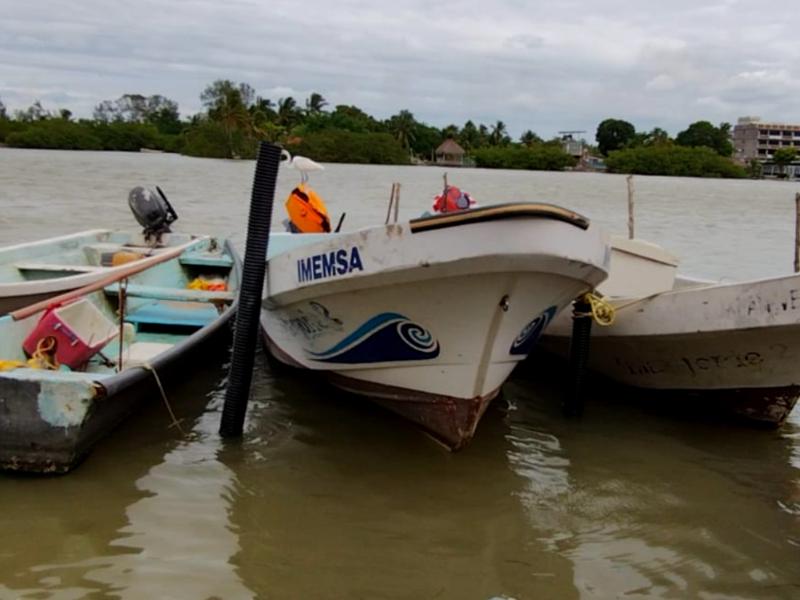 Pescadores registran merma de hasta 80 por ciento debido a lluvias ...