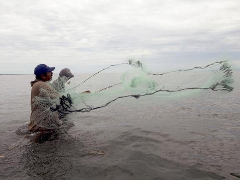 Pescadores regresan a la actividad productiva