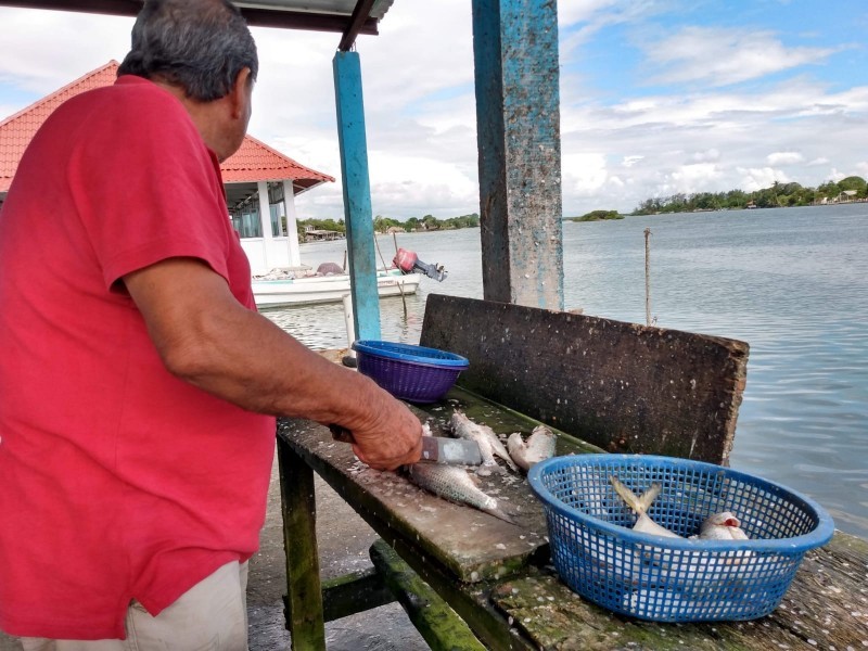 Pescadores reportan baja producción en plena cuaresma