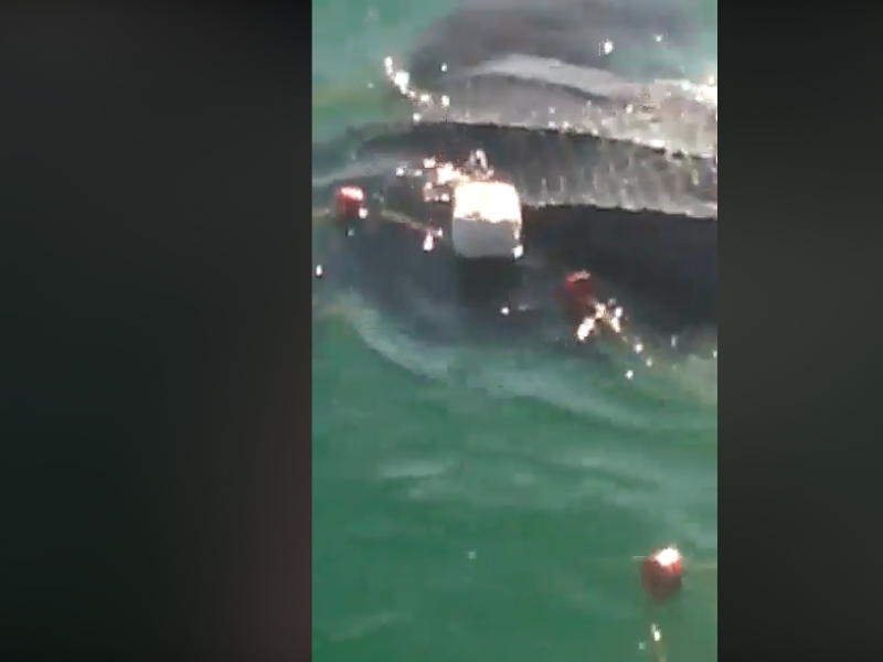 Pescadores rescatan a tortuga laúd en el Mar de Cortés