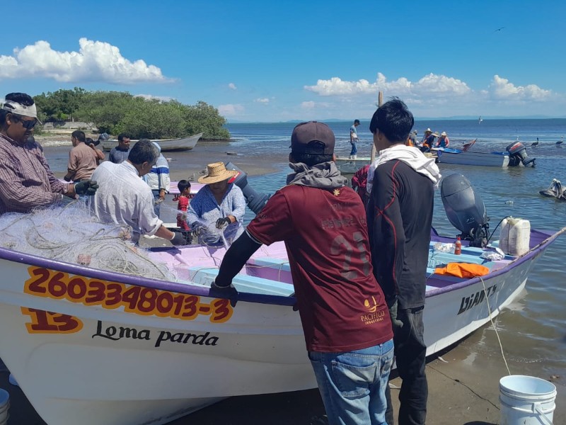pescadores ribereños inician temporada de camarón sin apoyos ni equipamiento adecuado