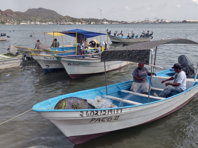 Pescadores ribereños se preparan para iniciar captura de camarón