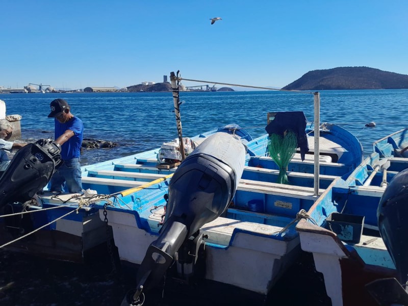 Pescadores ribereños señalan que hay un repunte en la pesca