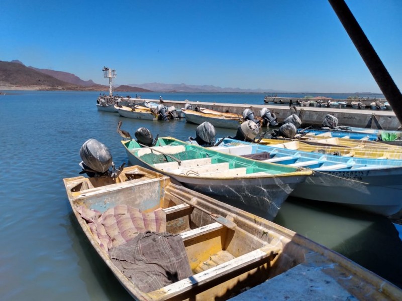 Pescadores se preparan para temporada de jaiba