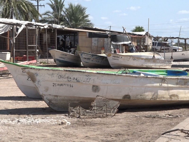 Pescadores, solos y en crisis