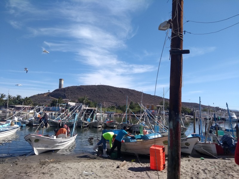 📹Pescadores voltean hacia un pesca sustentable