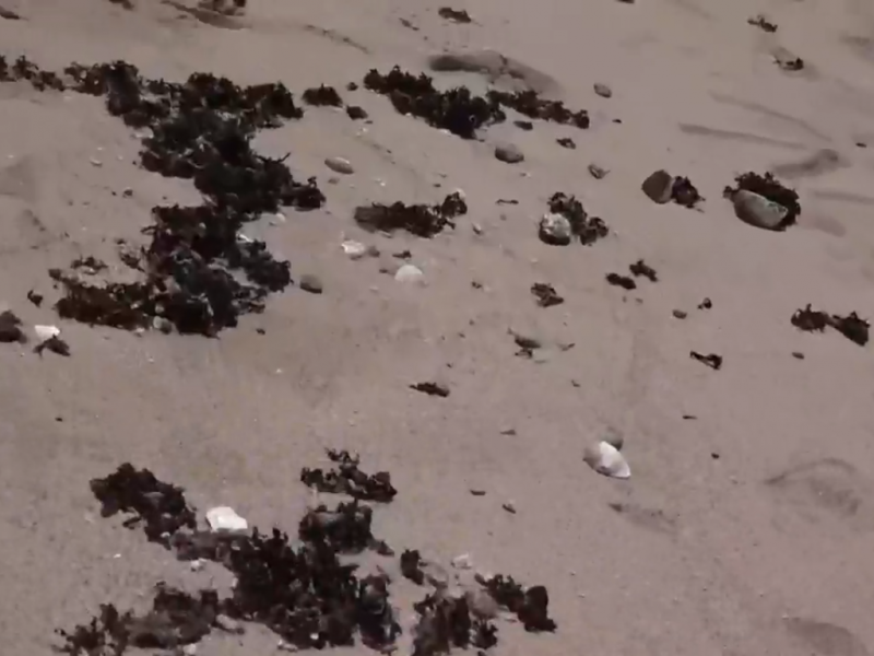 Pese a cierre de playas sigue habiendo basura