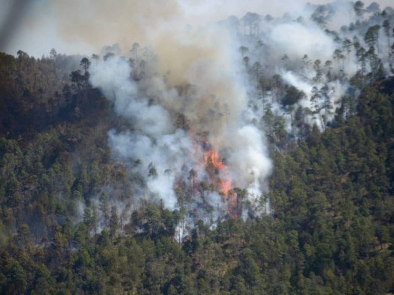 Pese a contingencia agricultores siguen provocando incendios