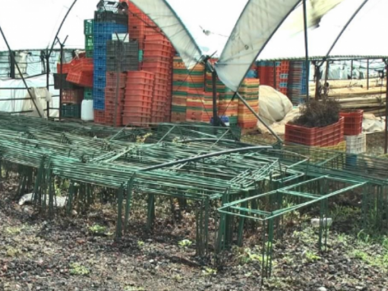 Pese a denuncias, continúan robos de infraestructura agrícola