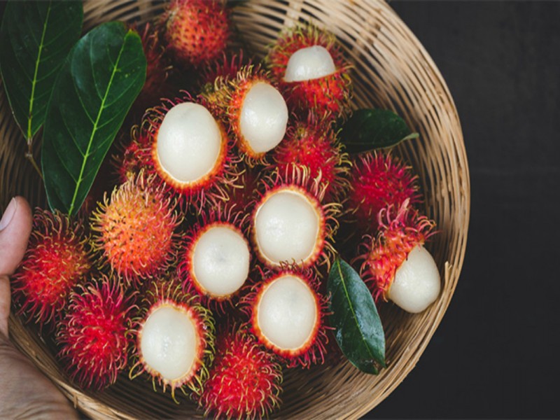 Pese a falta de apoyos producción de rambután se destaca