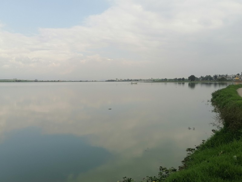 Pese a lluvias, presa Antonio Alzate registra 30 por ciento de almacenamiento
