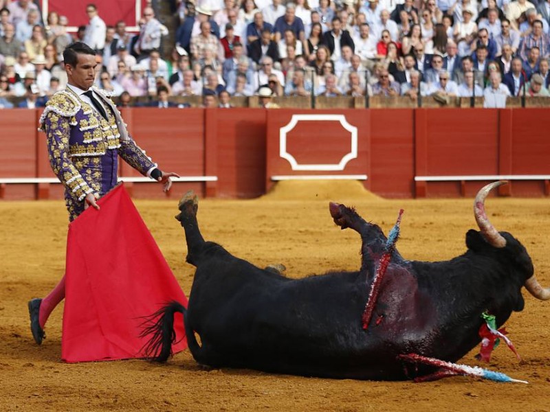 Pese a protestas, desechan regidores prohibir la tauromaquia