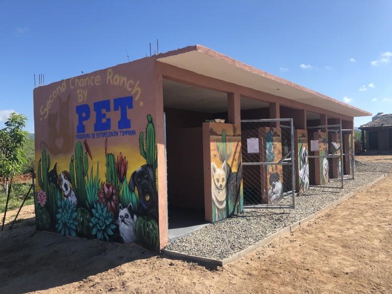 PET construye refugio para mascotas