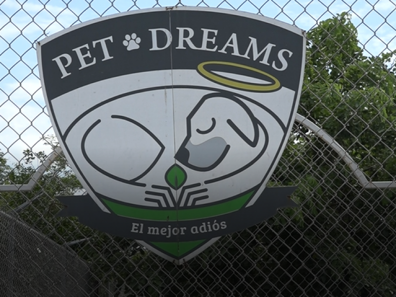 Pet Dreams,único cementerio ecológico de mascotas en México