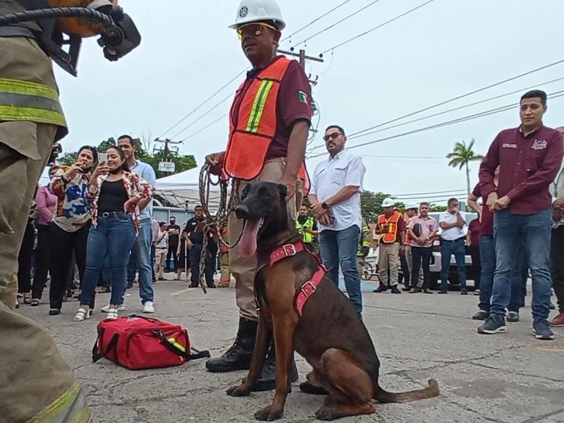 Pfizer, binomio canino y héroe de Los Mochis