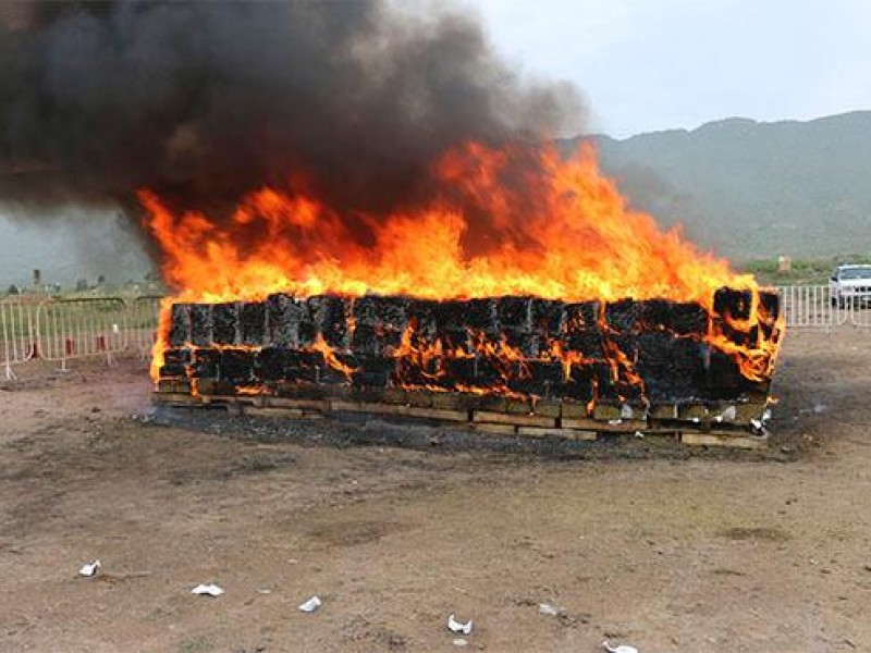 PGR incinera 800 kilogramos de drogas en Chihuahua