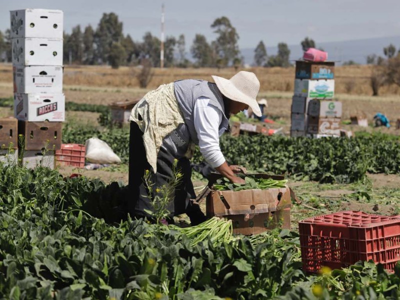PIB nacional crece, pero Puebla muestra señales de estancamiento