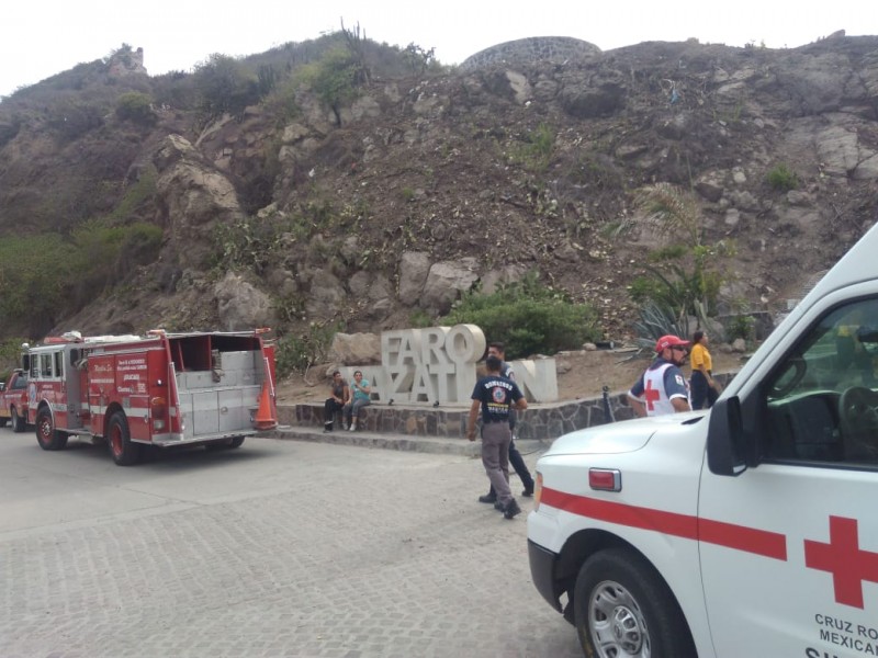 Pican abejas a turistas en el faro