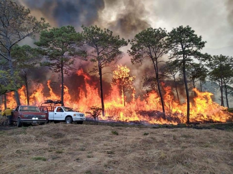 Pide gobierno estatal plan de prevención de incendios 2024