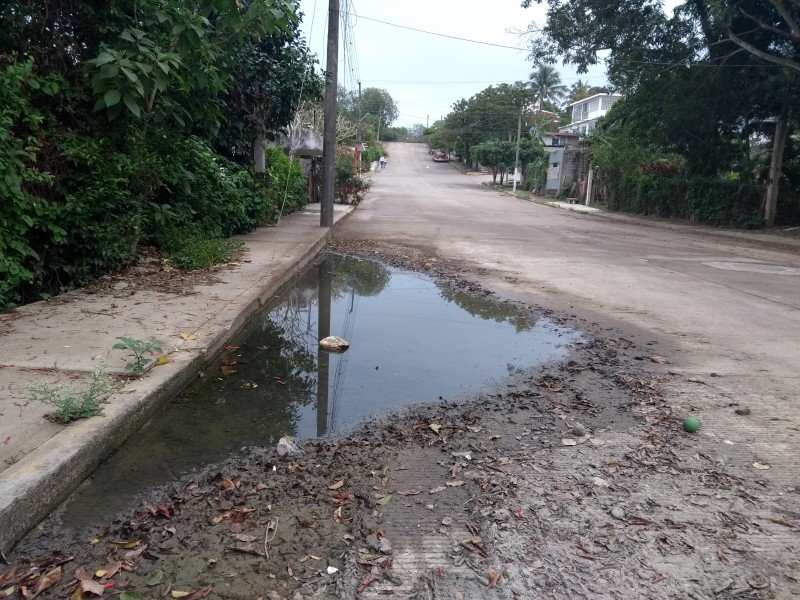 Piden a las autoridades municipales supervisar calle Ciprés