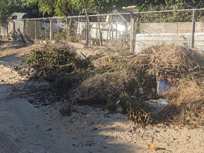 Piden a Servicios Públicos realice trabajos de limpieza