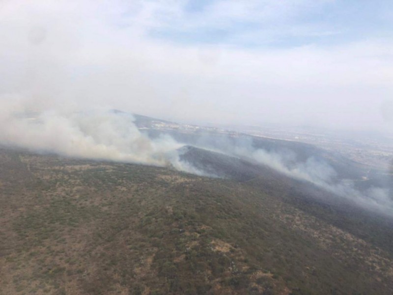 Piden ambientalistas judicializar incendios en zonas protegidas