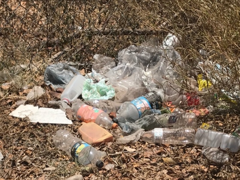 📹Piden sanciones para quienes tiren basura