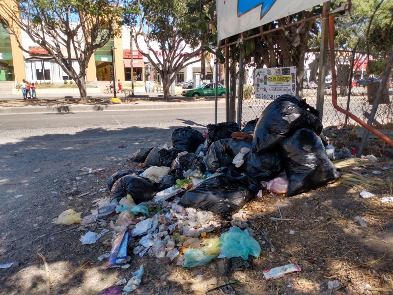 Piden apoyo del SIAP en la colonia Nueva Candelaria