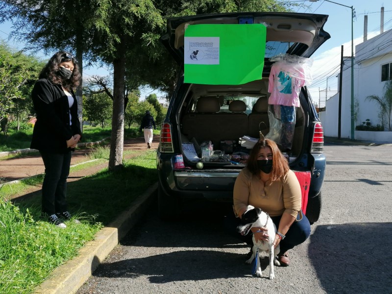 Piden apoyo para Mailo un canino que padece cáncer