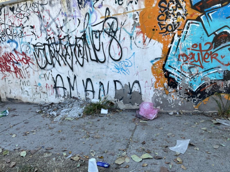 Piden apoyo para rehabilitar escuela vandalizada en El Molino