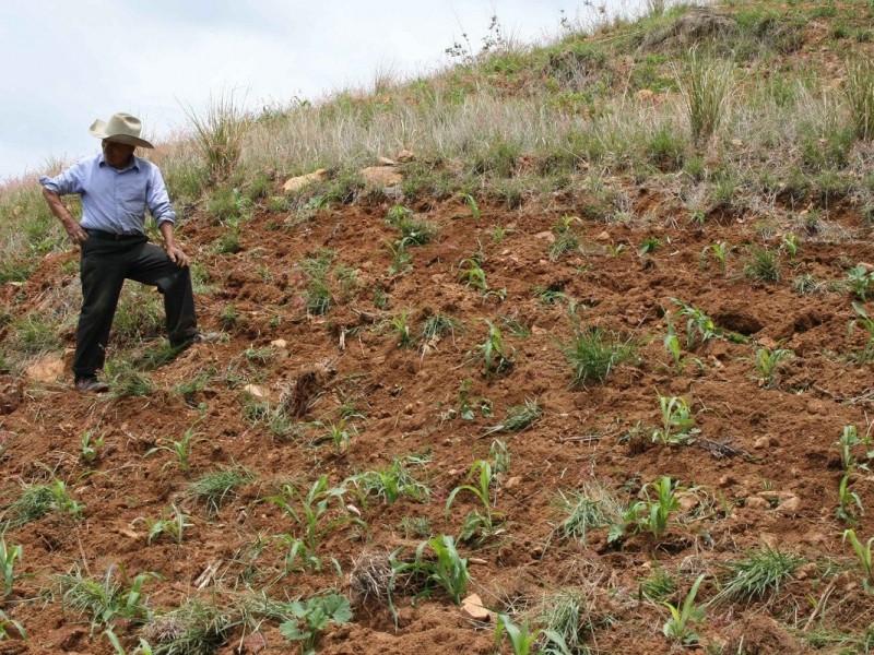 Piden, apoyos reales para el campo