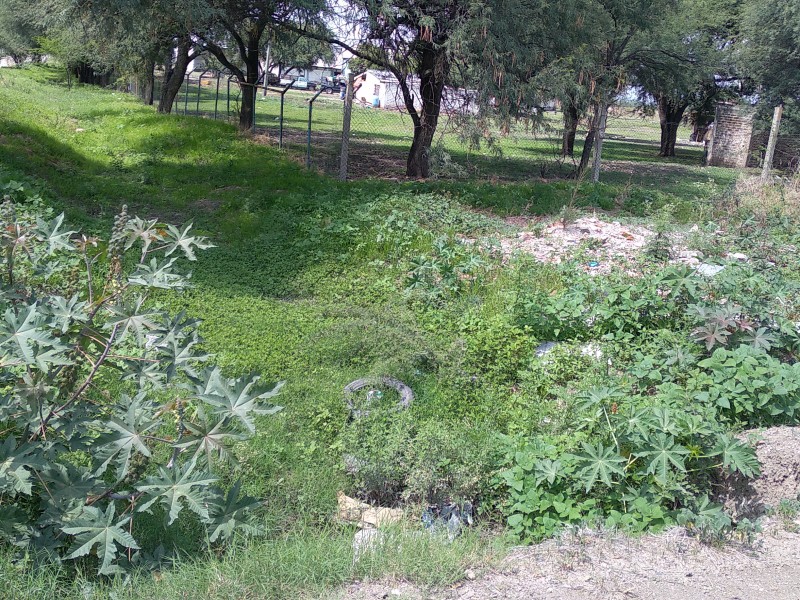 Piden  arroyo que capte aguas pluviales para evitar inundaciones.