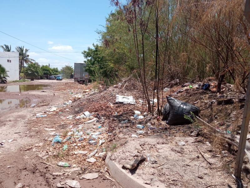 VozCiudadana:Piden atención a solares baldíos en la Colonia Miguel Hidalgo