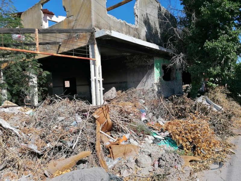 Piden atención a solares baldíos y casas abandonadas