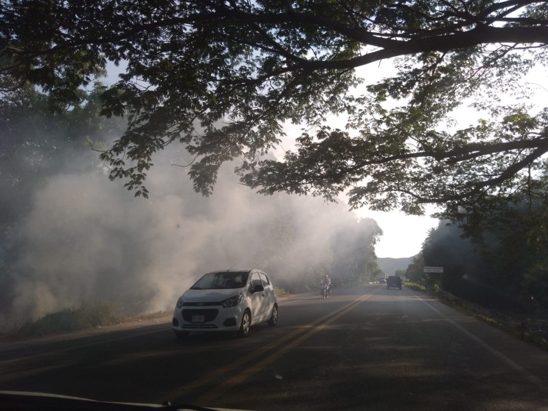 Piden atención a tala y quema de árboles en Tehuantepec