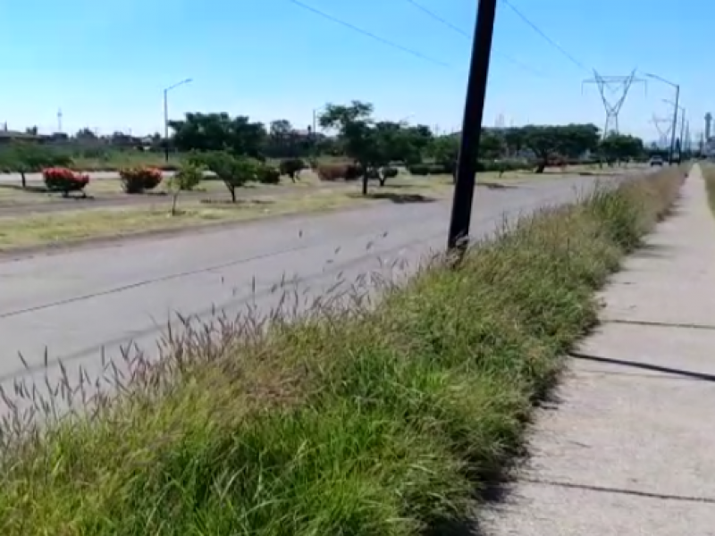 Piden atención por parte de parques y jardines