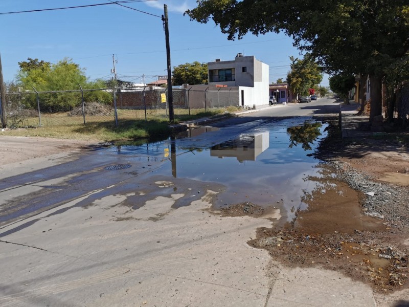 Piden atender brotes de aguas negras en Jardines de Zacatecas