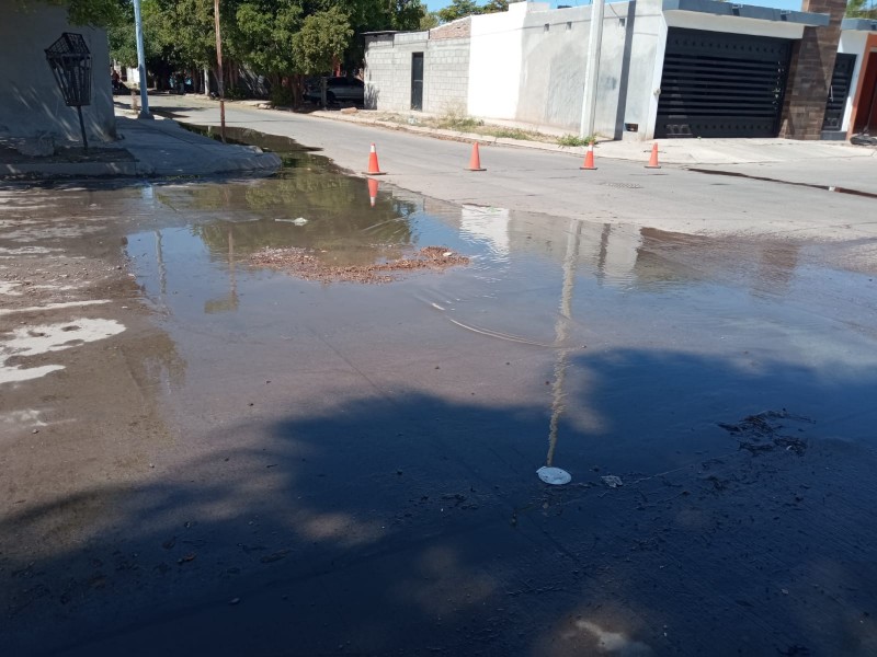 Piden atender drenajes colapsados en las Mañanitas