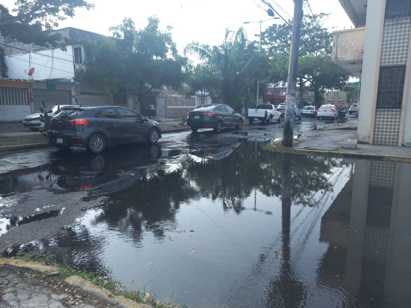 Piden atender fuga de aguas negras en el Virginia