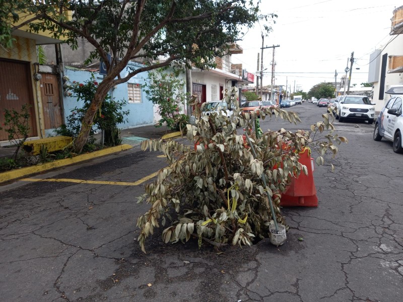 Piden atender hundimiento donde pasan ductos de PEMEX