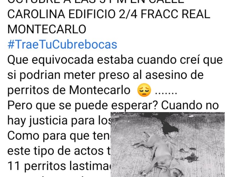 Piden castigo ejemplar para presunto agresor de perros